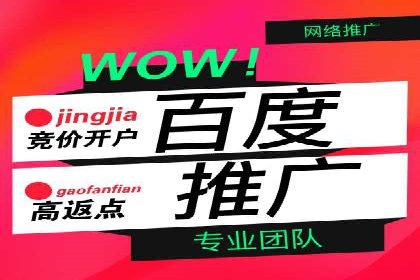 SEM服务助力中小企业案例分析
